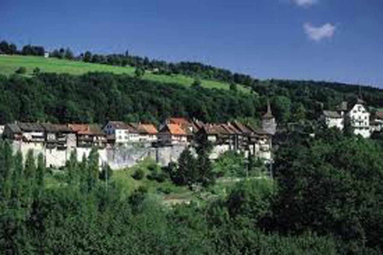Maison Du Fey Hotel Moudon Kültér fotó